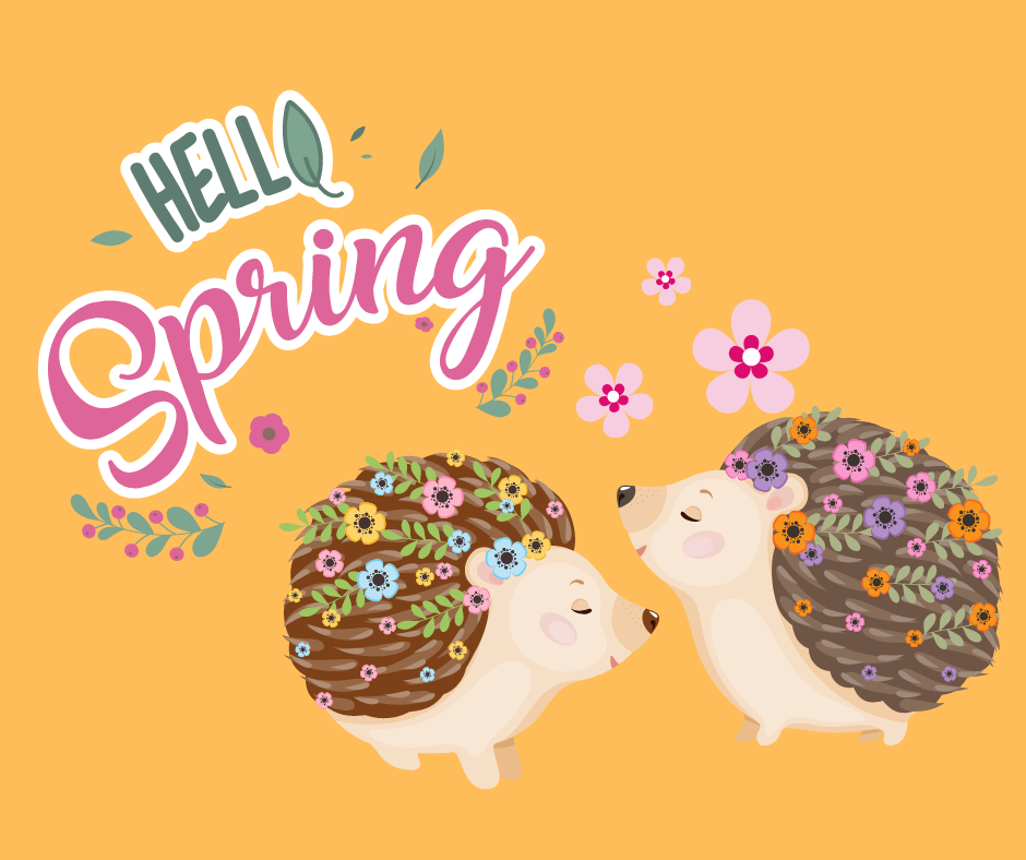 Illustration of two hedgehogs saying hello Spring