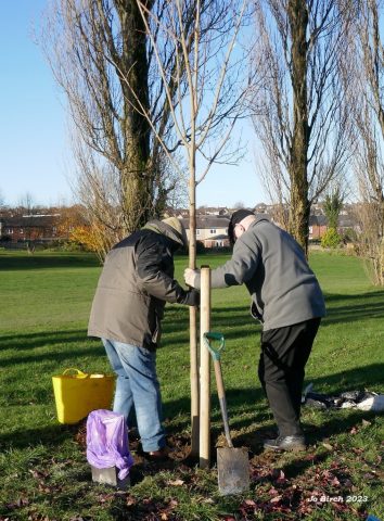High Green in Bloom members planting a tree in Mortomley Park 