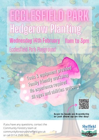 Ecclesfield park hedgerow planting event with Sheffield City Council 
