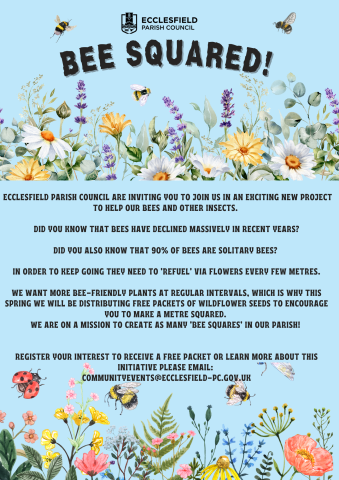Bee Squared poster giving free wildflower seeds to members and groups within the parish 